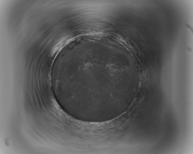 X0000102800002200809021147