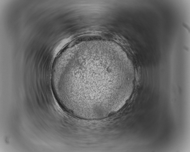 X0000102800003200809021147