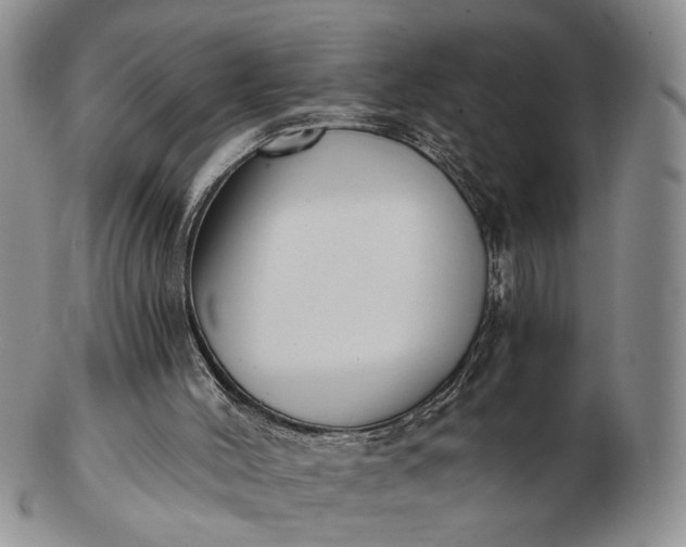 X0000102800004200809021147