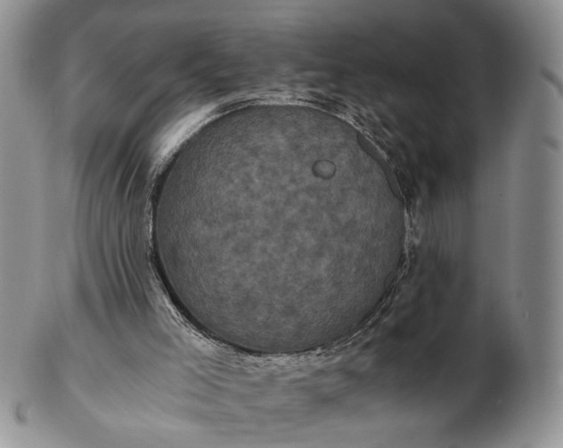 X0000102800005200809021147