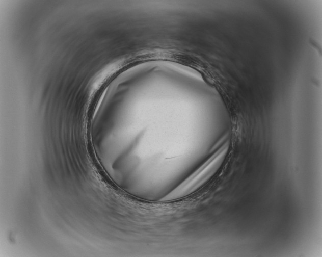 X0000102800006200809021147