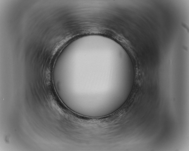 X0000102800012200809021146