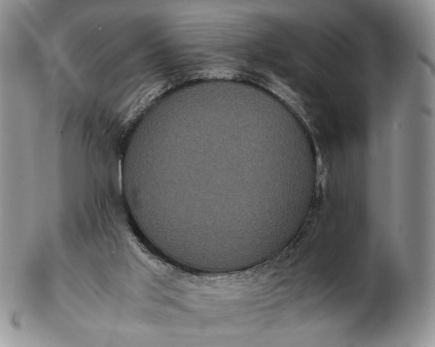 X0000102800013200809021146