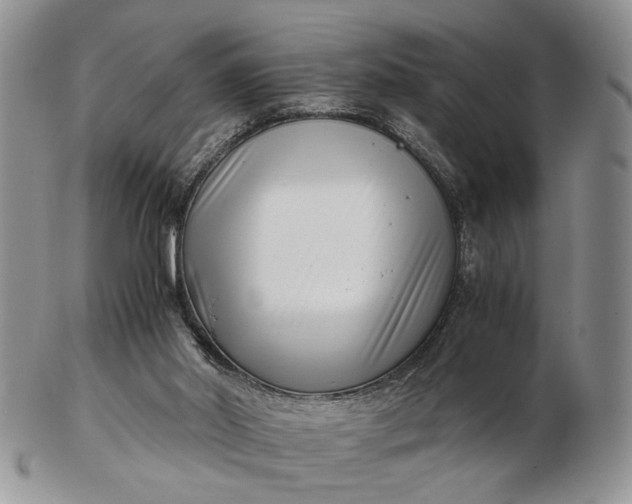 X0000102800014200809021146