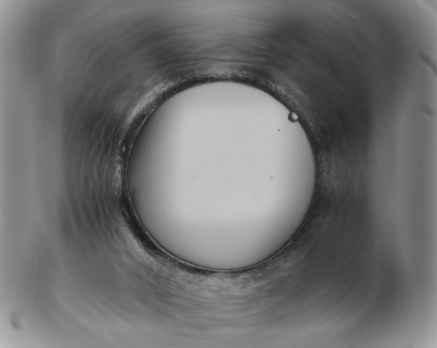 X0000102800016200809021146