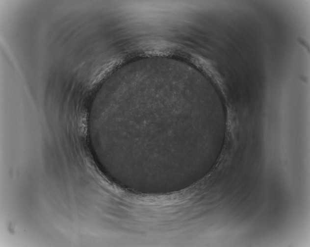 X0000102800017200809021146