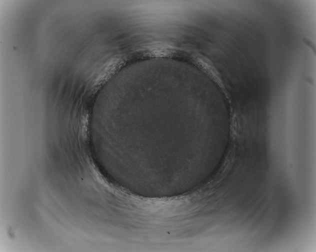 X0000102800018200809021146