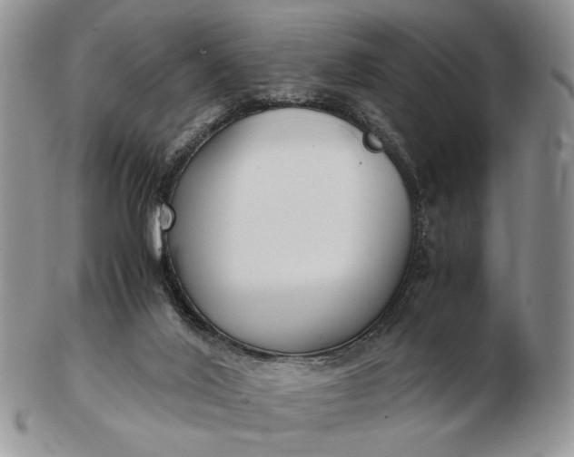 X0000102800020200809021146