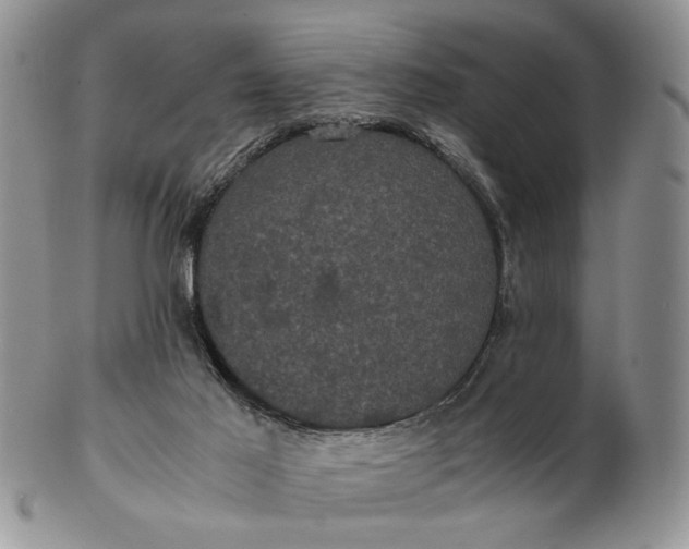 X0000102800021200809021146