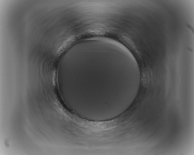 X0000102800023200809021146