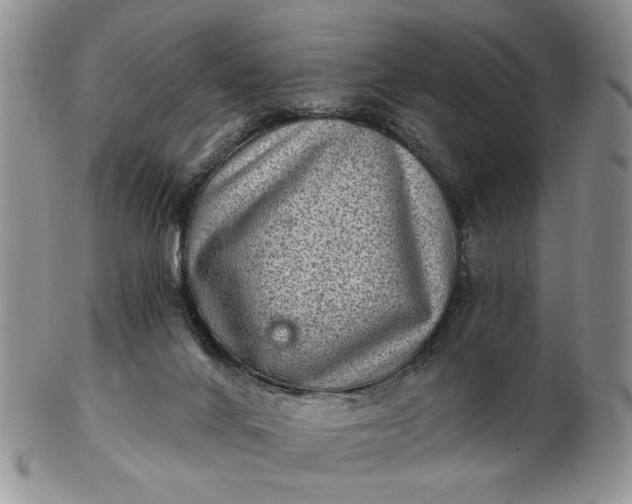 X0000102800024200809021146