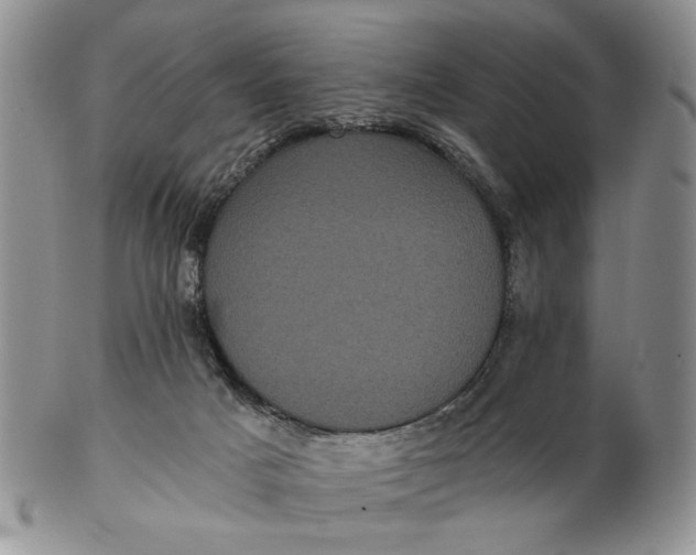 X0000102800025200809021146