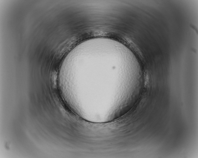 X0000102800026200809021146