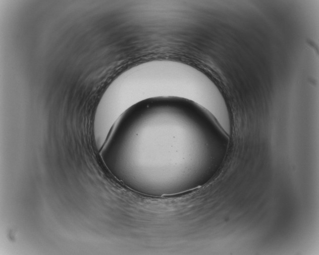 X0000102800029200809021146