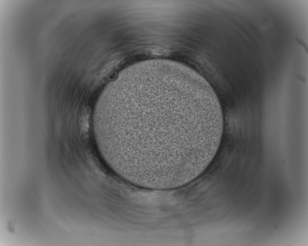 X0000102800032200809021146