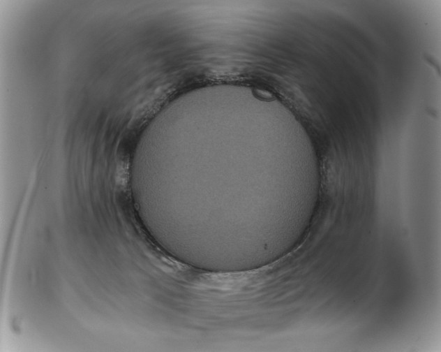 X0000102800033200809021146