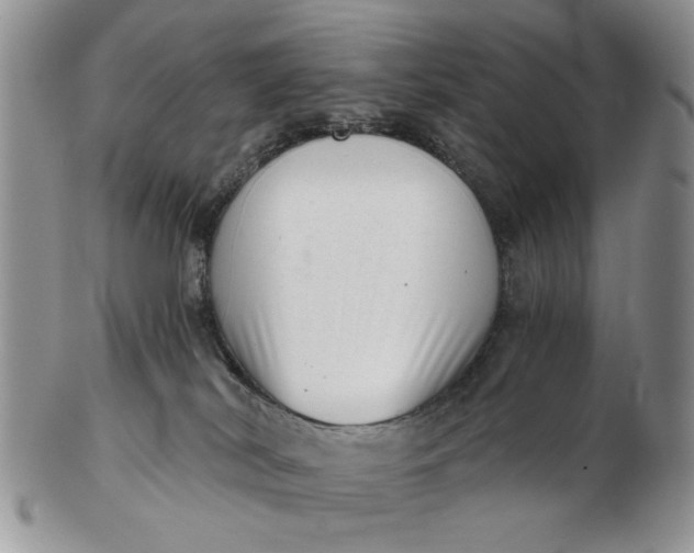 X0000102800038200809021146