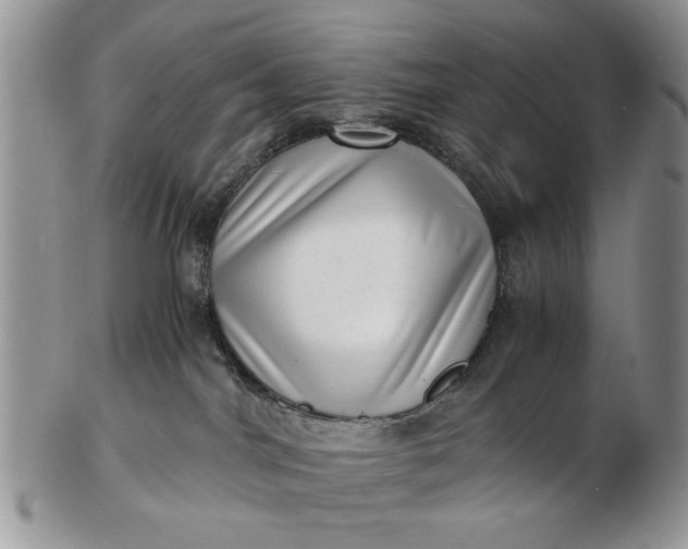 X0000102800044200809021146