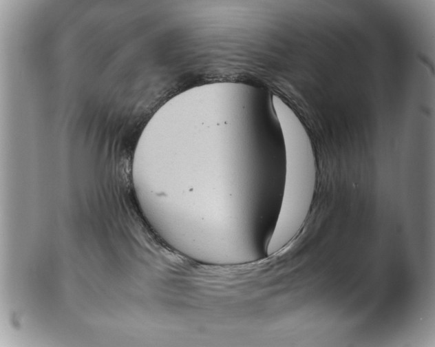 X0000102800045200809021146