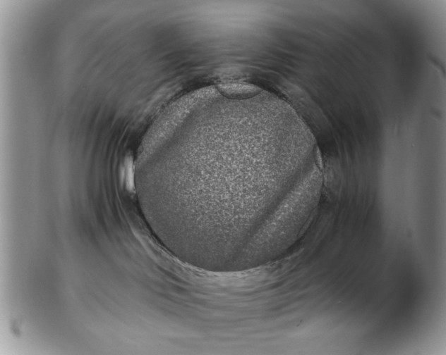 X0000102800046200809021146