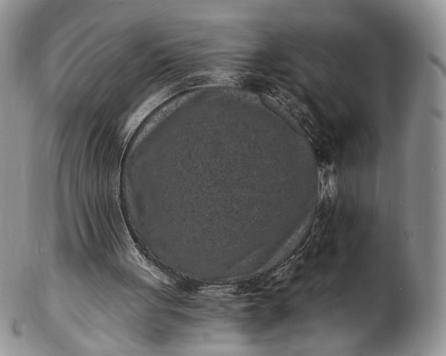 X0000102800051200809021145