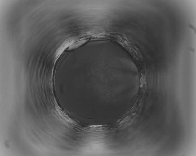 X0000102800052200809021145