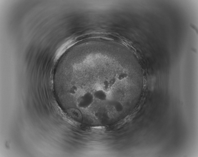 X0000102800053200809021145