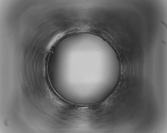 X0000102800054200809021145