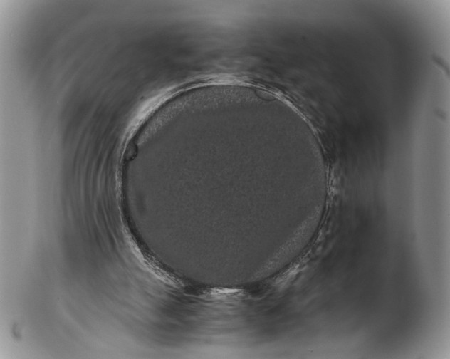 X0000102800055200809021145