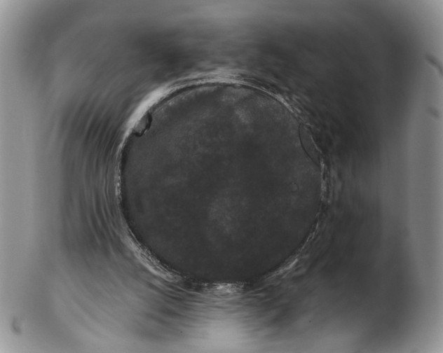 X0000102800056200809021145