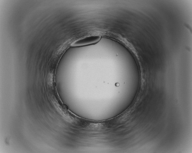 X0000102800057200809021145