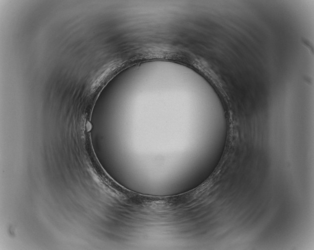 X0000102800058200809021145