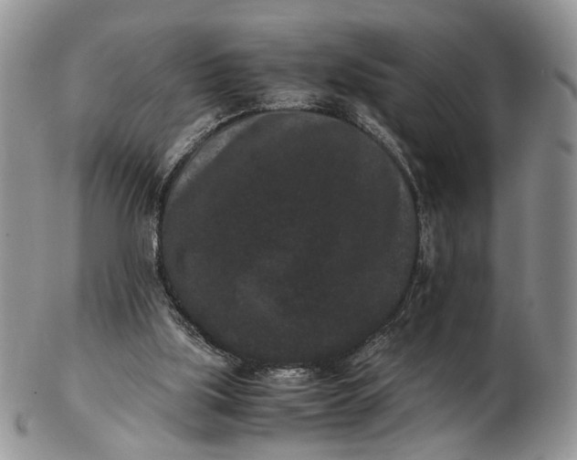 X0000102800059200809021145