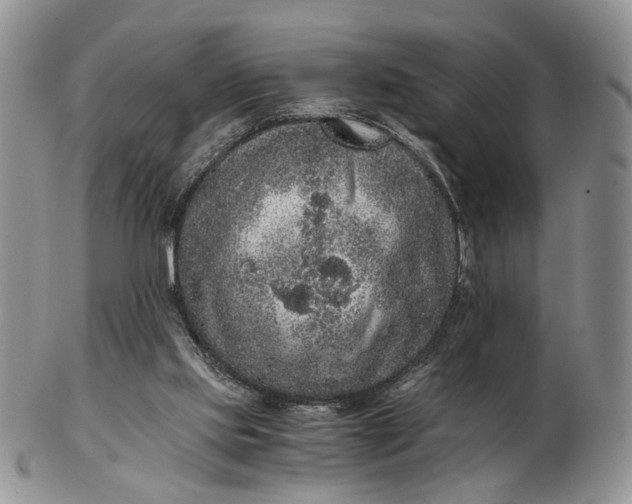 X0000102800061200809021145