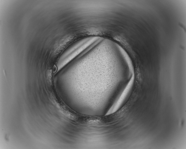 X0000102800066200809021145