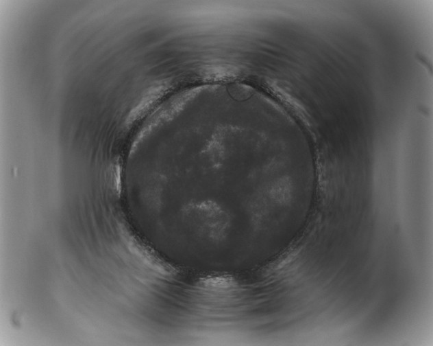 X0000102800067200809021145