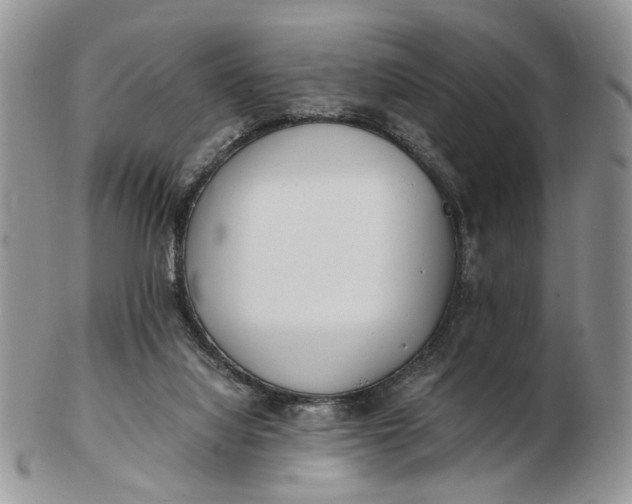 X0000102800068200809021145