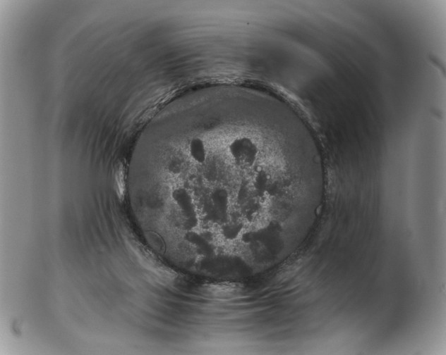 X0000102800069200809021145