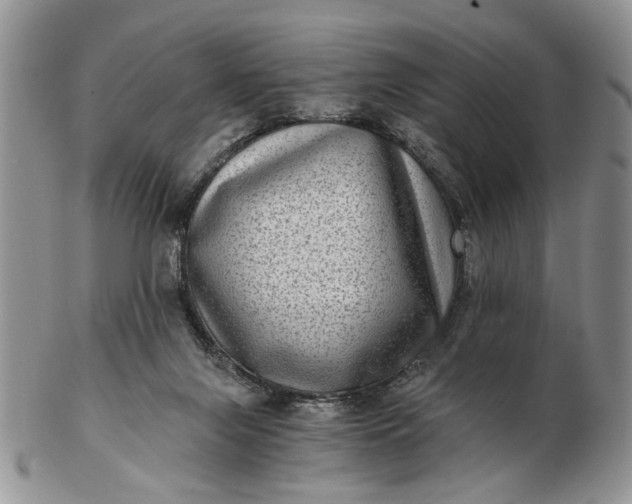 X0000102800071200809021145