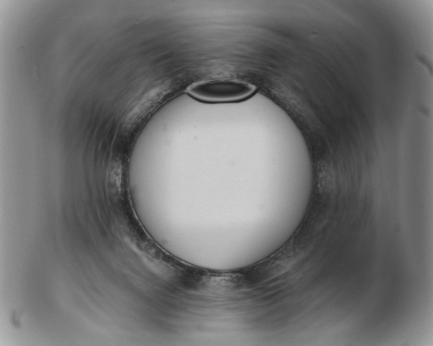 X0000102800072200809021145