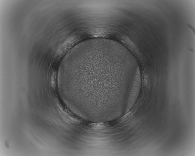 X0000102800074200809021145