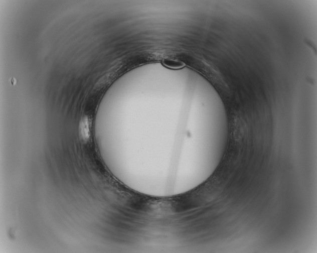 X0000102800075200809021145