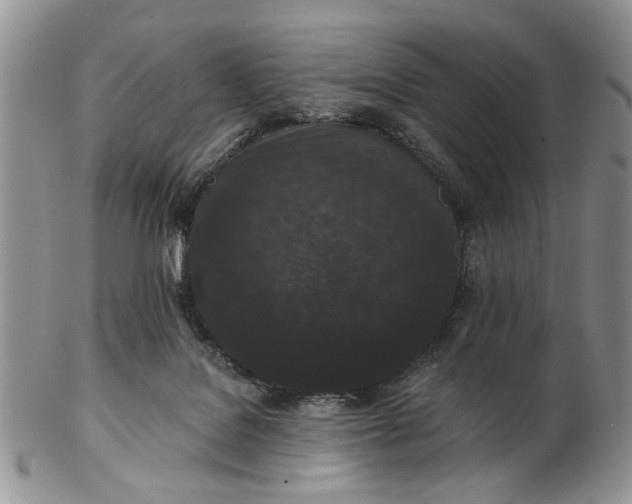 X0000102800076200809021145