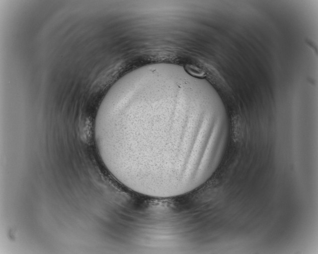 X0000102800077200809021146