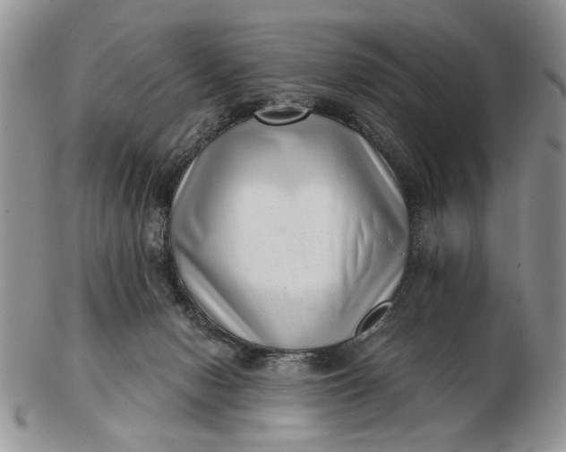 X0000102800078200809021146