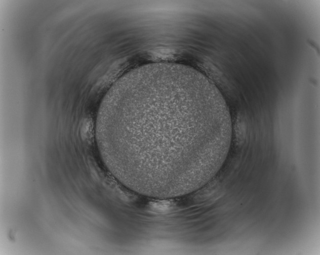 X0000102800079200809021146