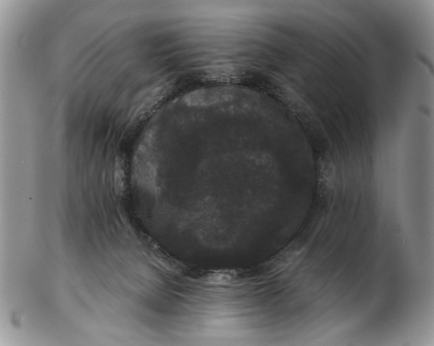 X0000102800080200809021146