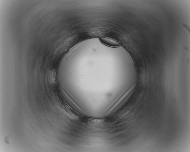 X0000102800081200809021146