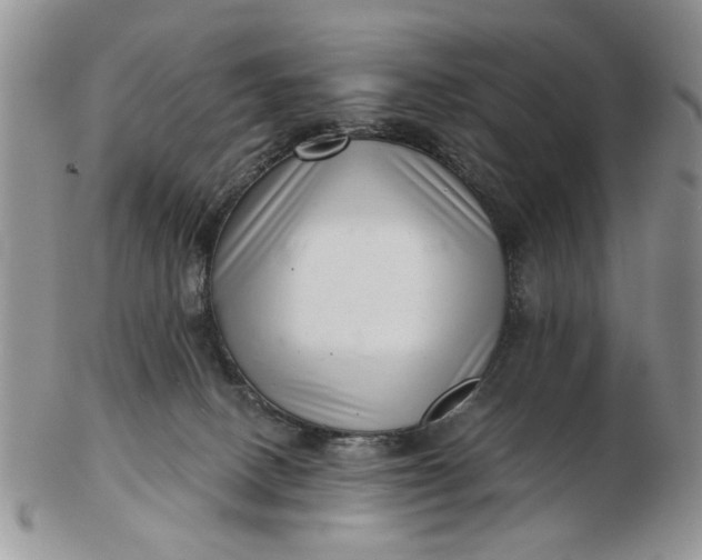 X0000102800082200809021146