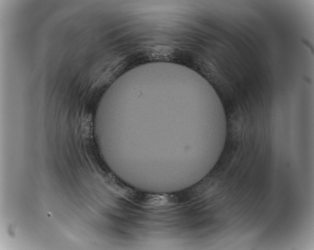 X0000102800083200809021146